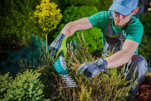 landscaping services North Gates